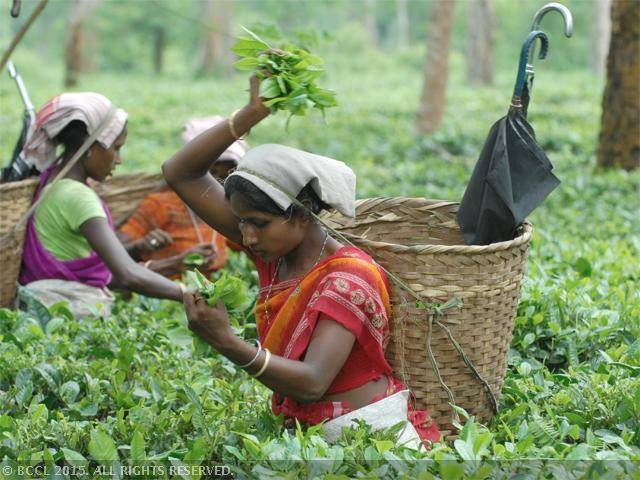 Read more about the article காலத்தால் கைவிடப்பட்டவர்கள்! எப்போது கரை சேர்வார்கள்?