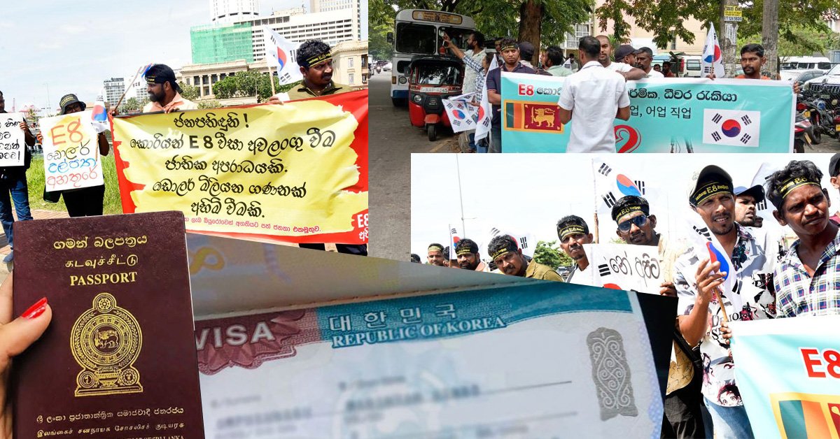 Read more about the article The E-8 Visa Crisis: A Call for Policy Reforms in Sri Lanka’s Overseas Employment System