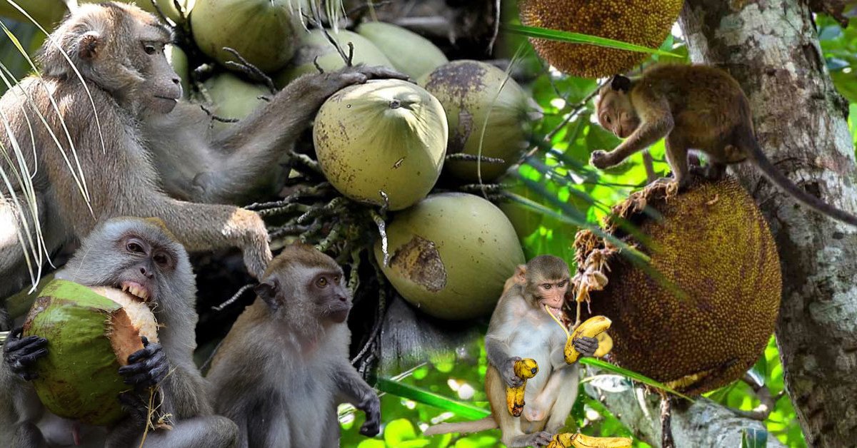 Read more about the article රිළා ත‍්‍රස්තවාදයෙන් යටපත් කෙරෙන ගැමි කෘෂිකර්මයේ අර්බුදය