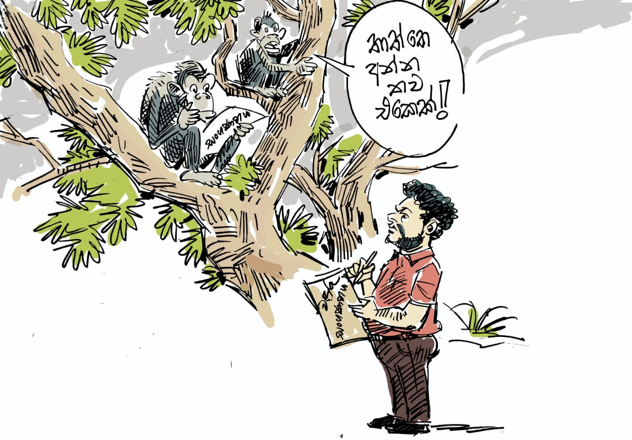 Read more about the article චන්දො ගෙ සීන් 